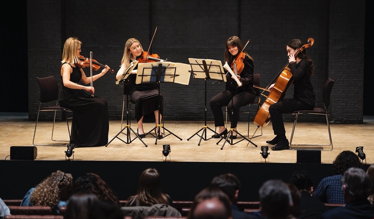 Vita String Quartet