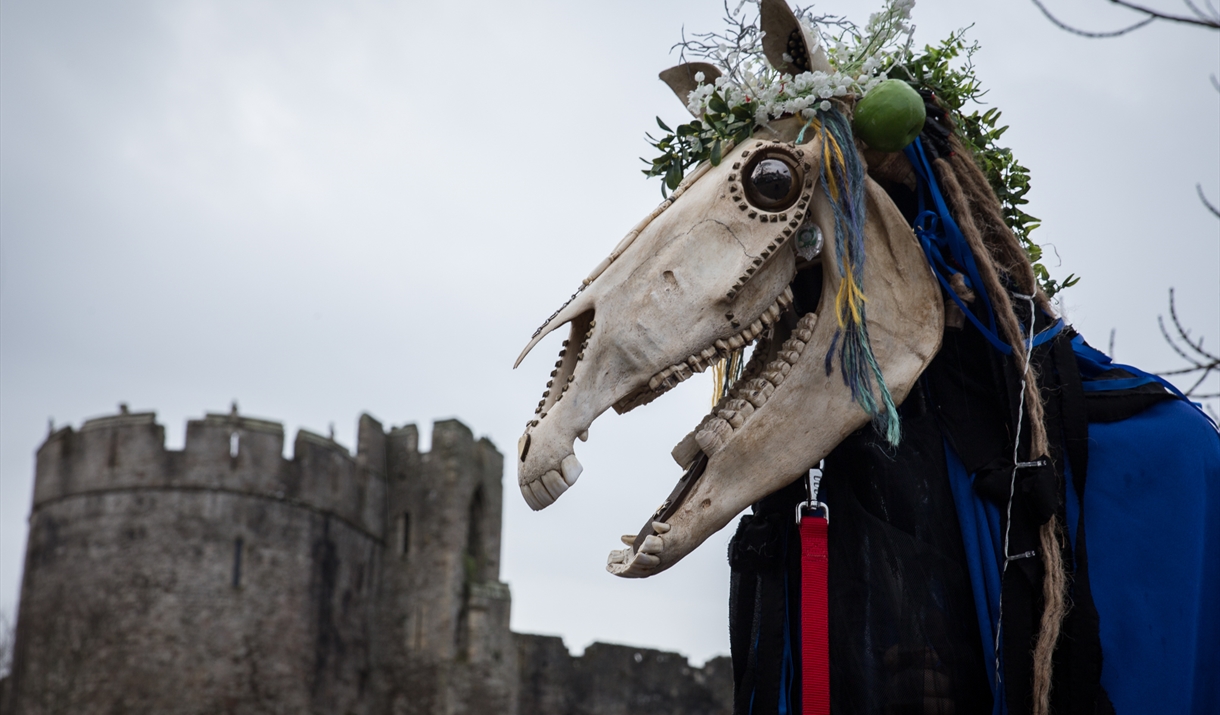 Mari Lwyd