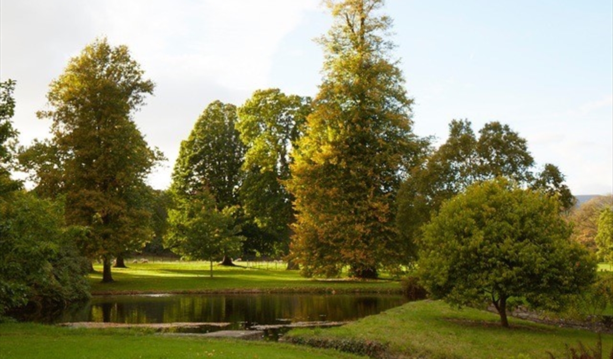 Llanover Lake