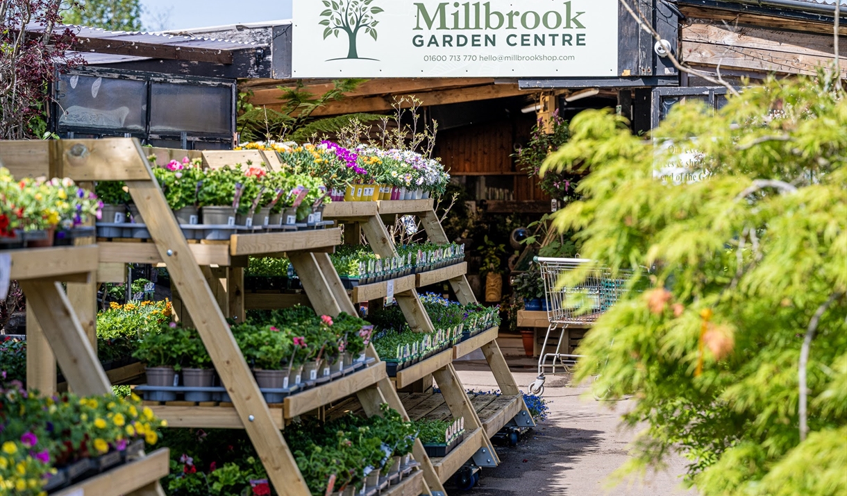 Millbrook Garden Centre with plants