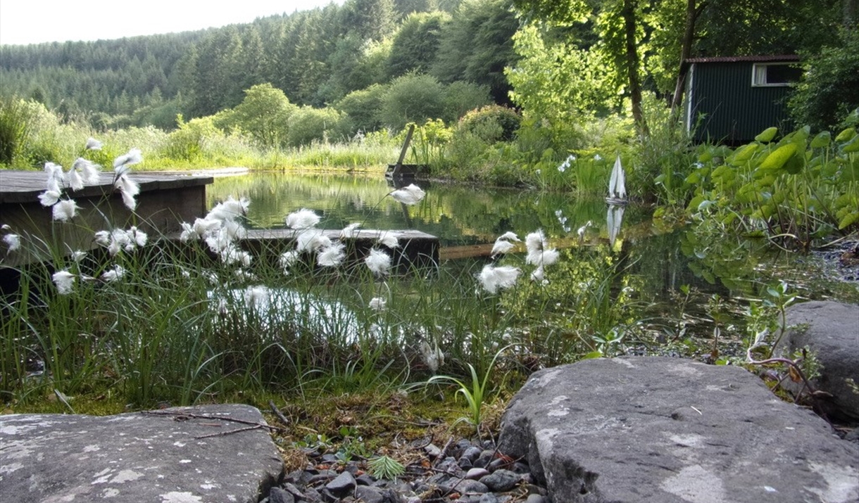 Nant Y Bedd Garden