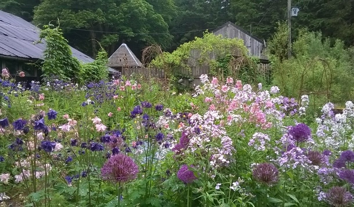 Nant Y Bedd Garden