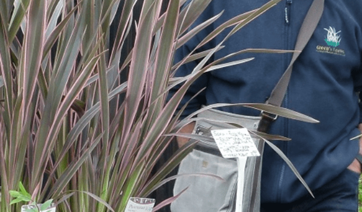 Photo of a man in a hat behind a stall selling plants