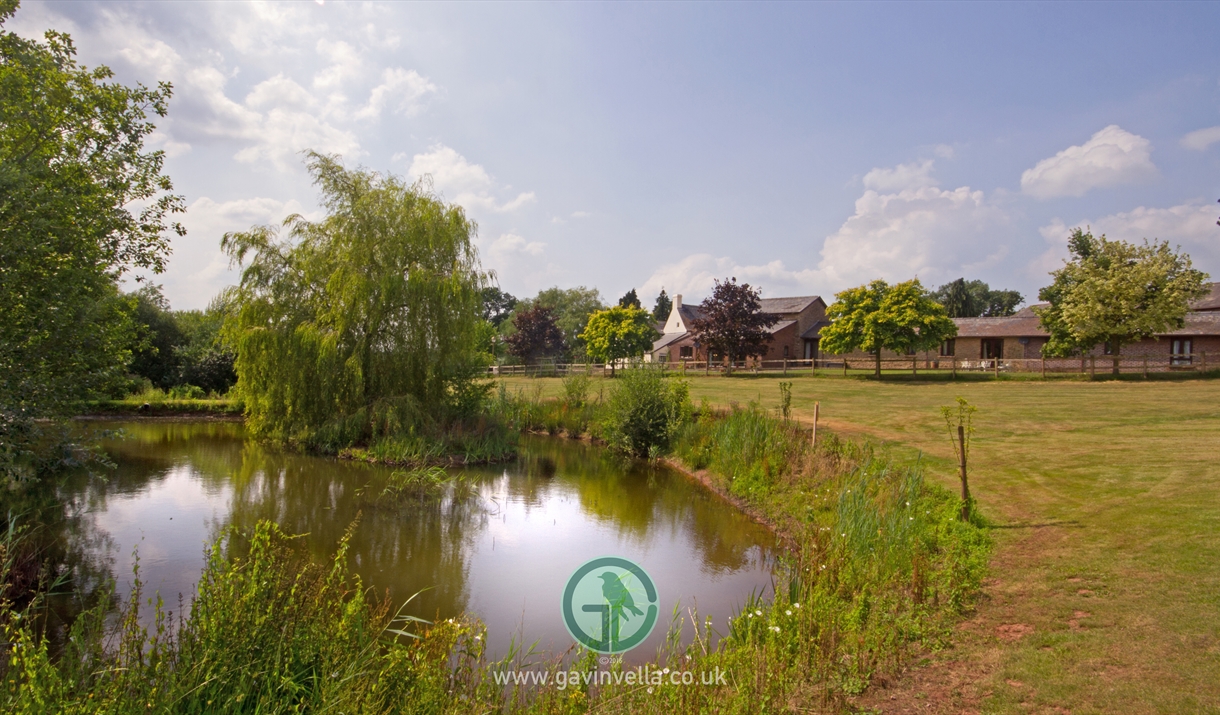 Hendre Farmhouse Orchard Campsite