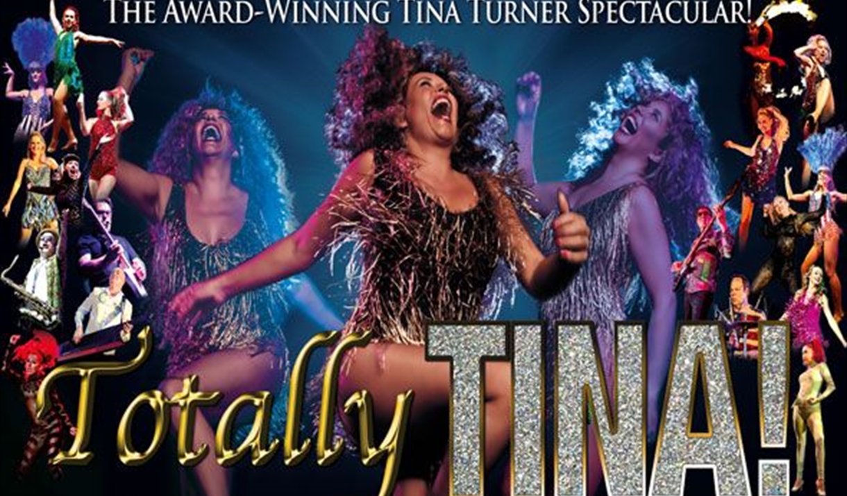 Tina Turner Tribute concert