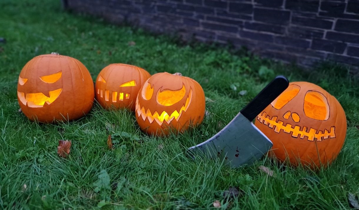 Carved pumpkins on grass