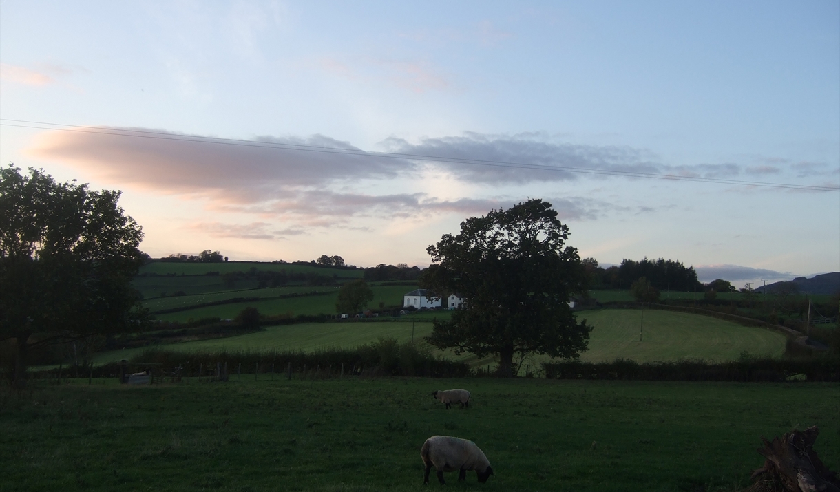 View from a Distance 1