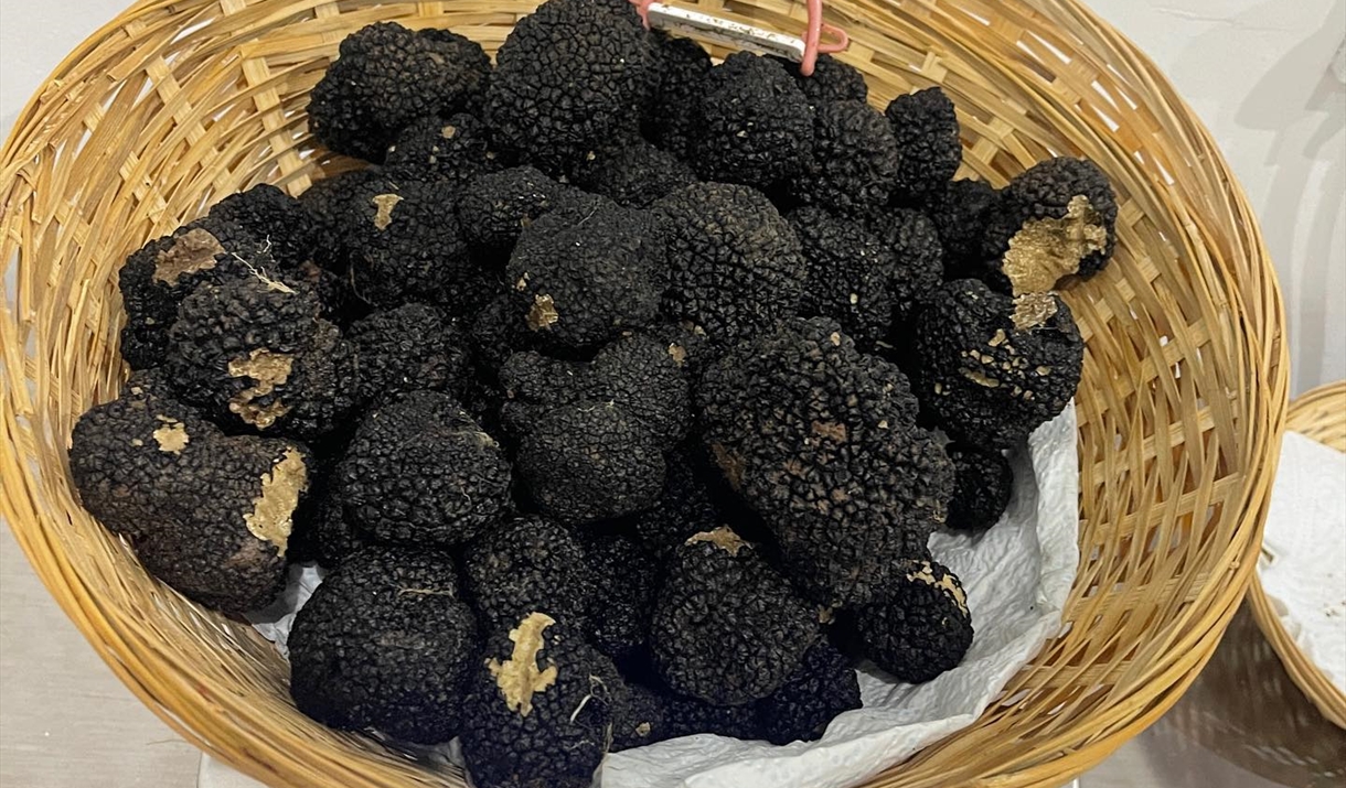 Welsh Truffle Company