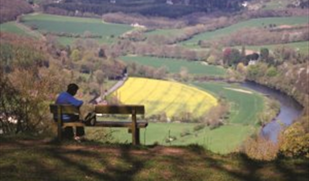 Whitestone Viewpoint