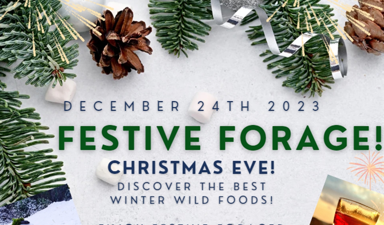 Christmas Eve Forage