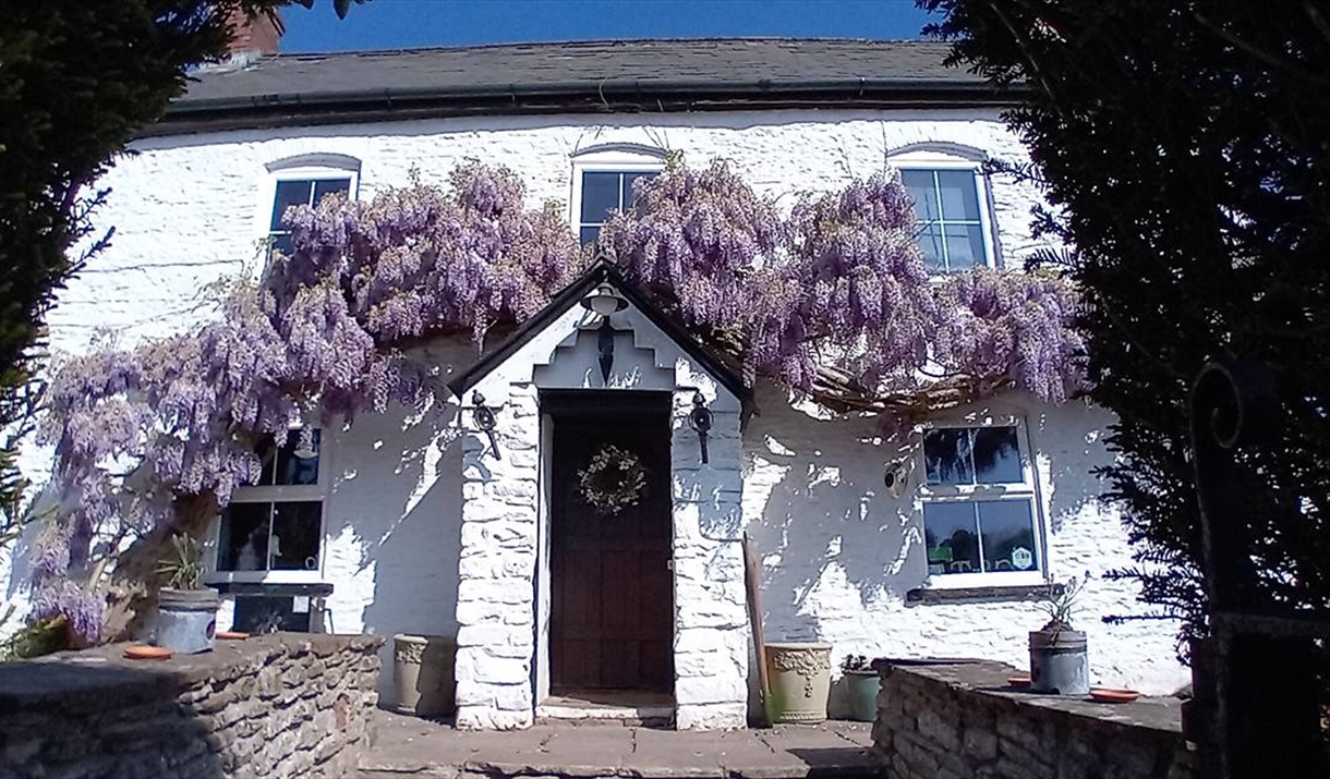 The Halfway Tal-y-coed outside of pub showing old stone brick building and beautiful flowers growing up the side