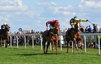 Grand National Party Day Chepstow
