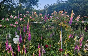 Far Hill Flowers