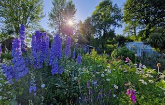 Far Hill Flowers