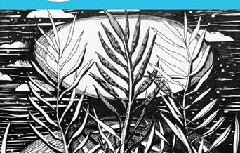 Forest and rivers art trail