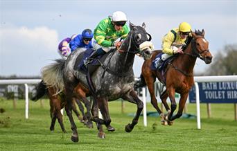 Spring Afternoon Jump Racing