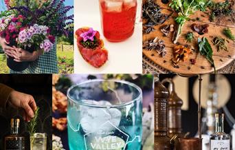Foraging, cocktails and gin-making