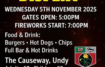 Undy Fireworks