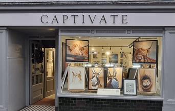 Captivate Gallery