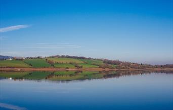 Scenery at Llandegfedd Lake