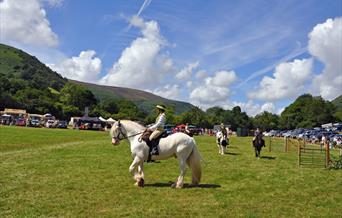 Llanthony Show