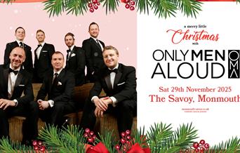 A Merry Little Christmas