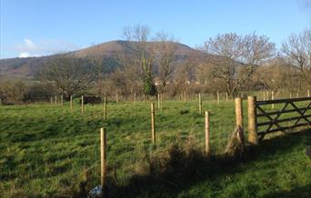 Abergavenny Community Orchard