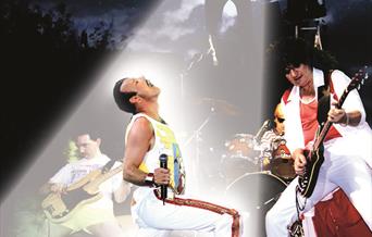 Image of The Bohemians on stage