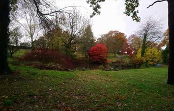 Bryngwyn Manor Autumn