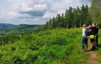 View from Buckholt Wood