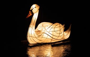 CRT Swan