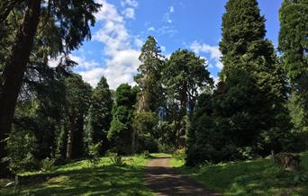 Cefn Ila by Tom Maloney