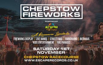 Chepstow Fireworks
