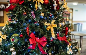 Christmas Party Raceday