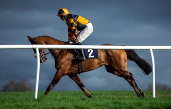 Autumn Afternoon Racing