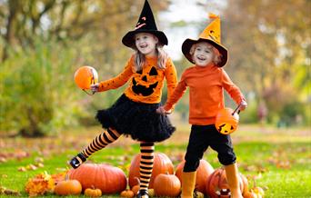 Children holding pumpkins in field