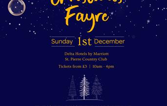 St David's Hospice Care Christmas Fayre