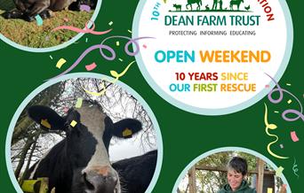 Dean Farm Trust Open Weekend
