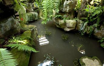 Dewstow Gardens & Grottoes