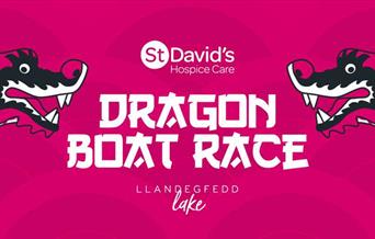 Dragon Boat Race