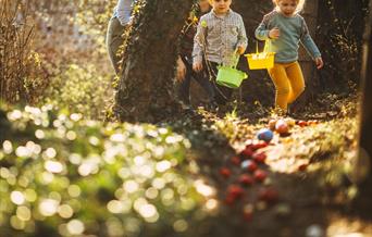 Children in forest searching for easter eggs