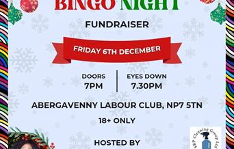 Abergavenny Pride Drag Bingo fundraiser Fri Dec 6th