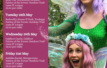 Fairies of the Forest