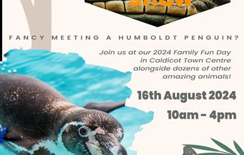 The Really Wild Show 2024 Poster