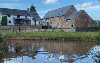 Farmhouse, Mallards Barn, Oaklands Cottage, The Cygnet Sudio