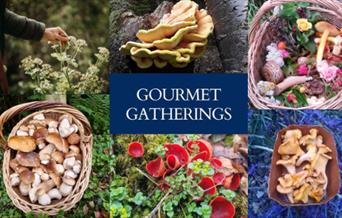 Gourmet Gatherings Foraging Experiences