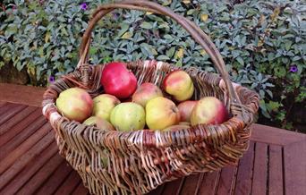 Weave a willow frame basket at Humble by Nature Kate Humble's farm