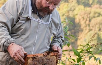 Gareth Baker inspecting ones of his hives