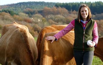 Hannah and cows grazing