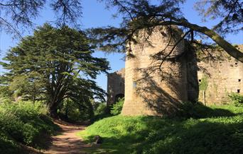 Caldicot Castle